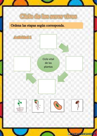 Ciclo de los seres vivos