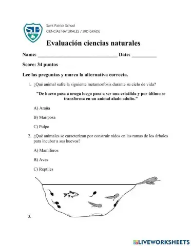 Evaluación ciencias naturales