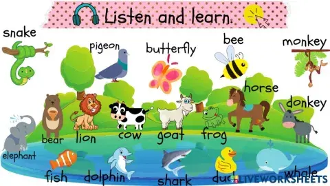 3.sınıf 10.ünite nature