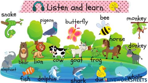 3.sınıf 10.ünite nature