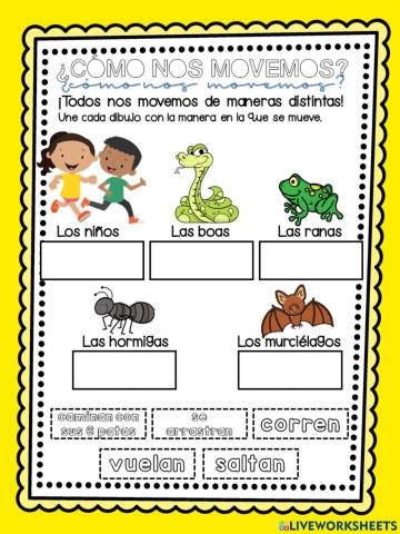 ¿Cómo nos movemos?