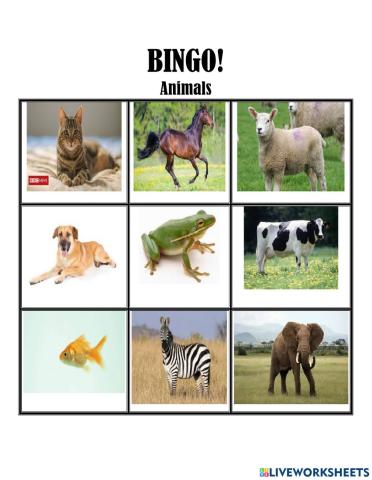 Animal Bingo 2
