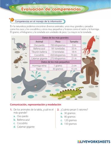 Medidas estandarizadas de medición