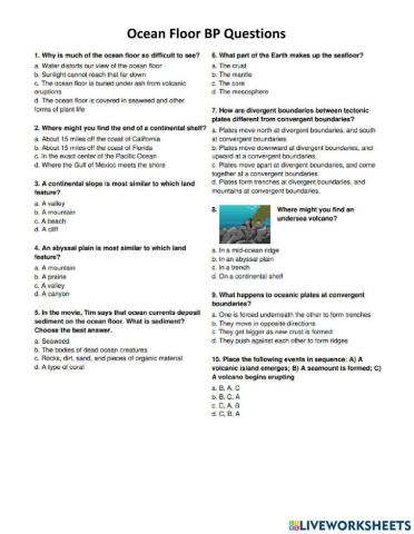 Ocean Floor Questions