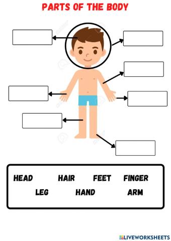 Parts of the body match