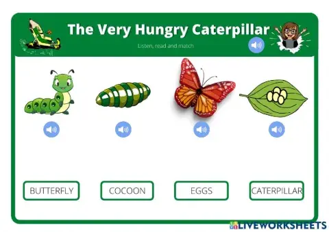 The very hungry caterpillar