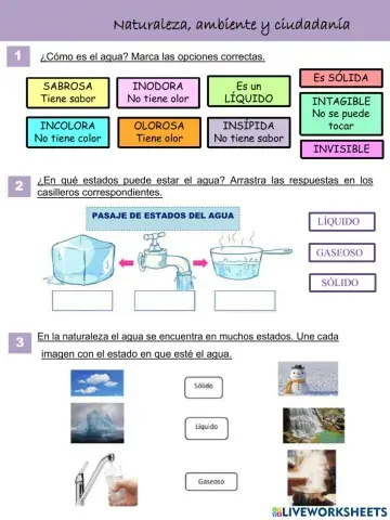 Estados y ciclo del agua
