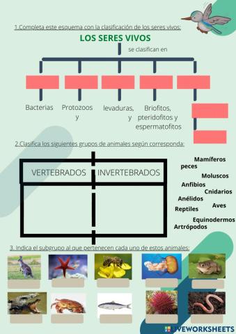 Clasificación de los seres vivos