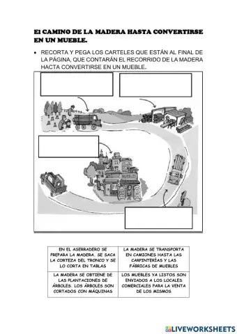 2º Grado El camino de la madera