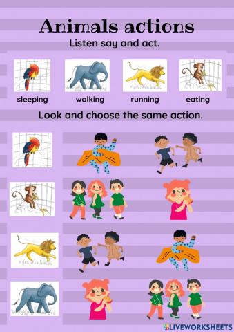 Animals Actions