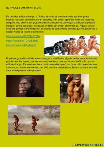 El procés d-Hominització