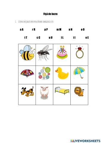 Fișă de lucru- CLR