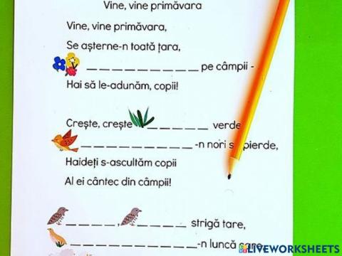 Limba română:Explorare,completare