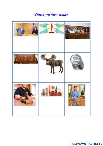 CardiganJones-choose