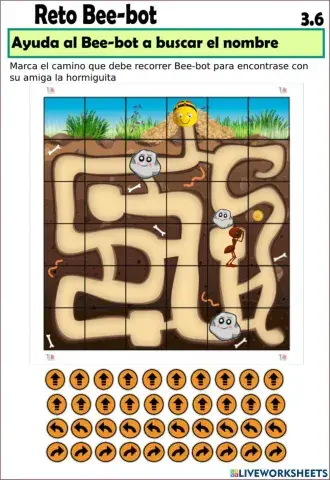 Programación con Bee-bot 3.6