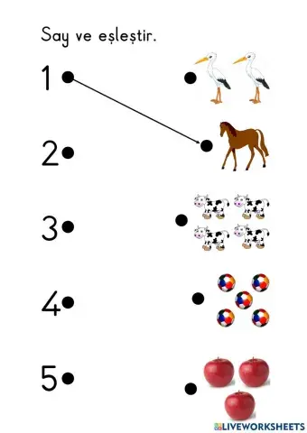 Rakamlar Eşleştirme