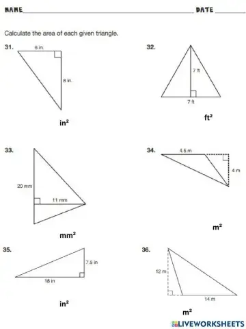 Area of Triangles