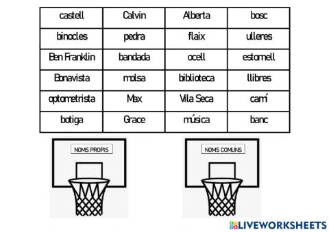 Noms comuns i noms propis