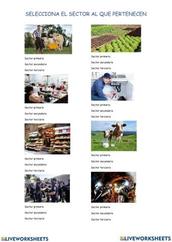 Actividades economicas 123