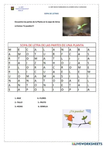 Las partes de plantas