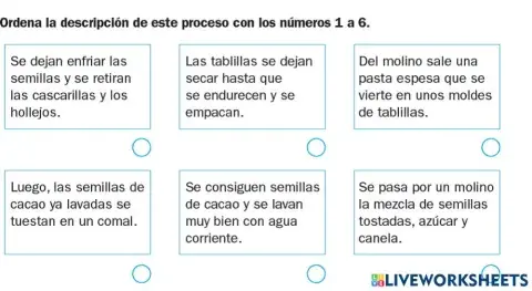 El proceso del chocolate