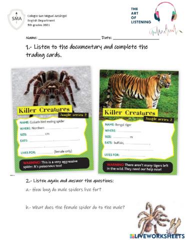 Rainforest creatures Listening