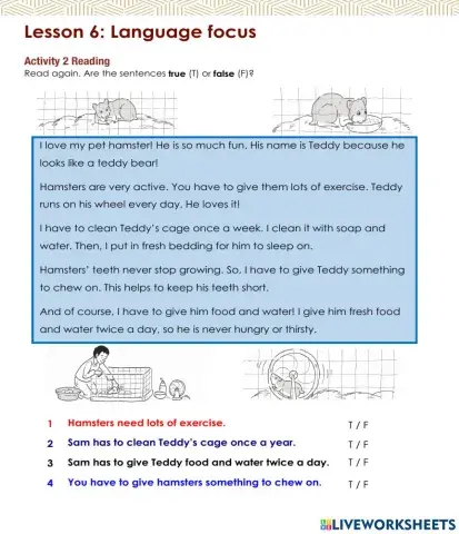 Access 6 - T3 - U8 - L6 - Act 2