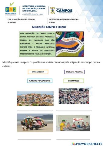 Migração campox cidade