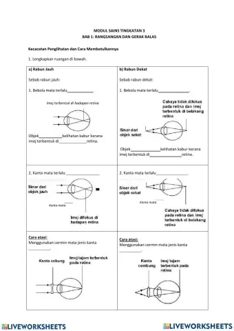 Kecacatan organ deria penglihatan