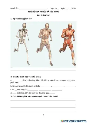 Ôn tập Con người & sức khỏe