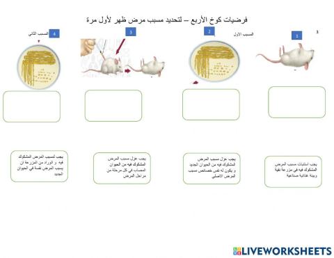 - ا - محمود الخطيب - فرضيات كوخ