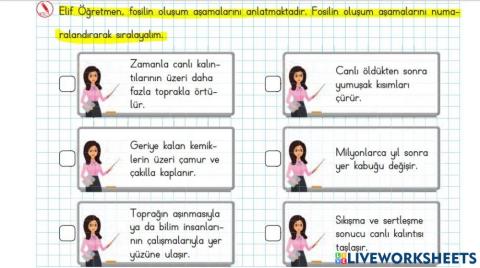 Fosillerin  Oluşumu 2