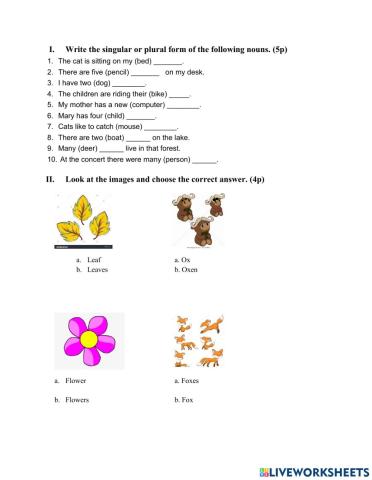 Singular&Plural Nouns