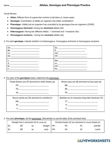 Genotype and Phenotypes