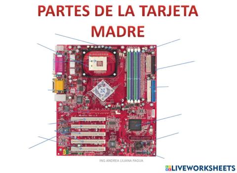 Partes del Mainboard