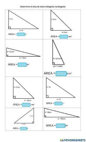 Calcular área de un triángulo rectángulo