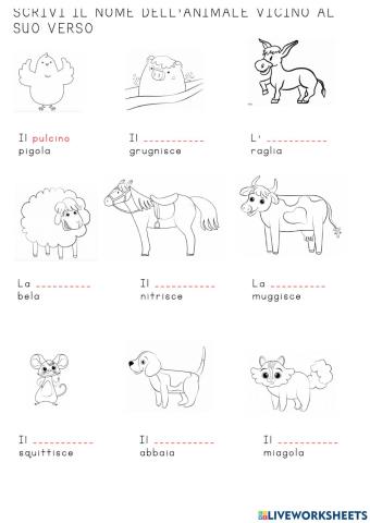 Versi degli animali