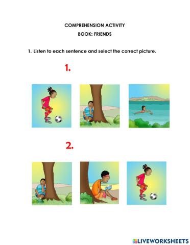 Comprehension activity