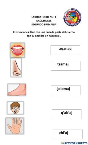 Familia y partes del cuerpo