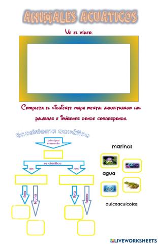 Ecosistema acuático 