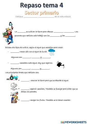 ¿En qué trabajan las personas?