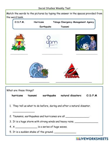 Natural Disaster Quiz