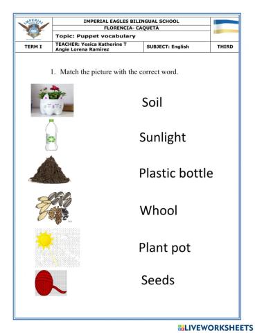Plant pot vocabulary