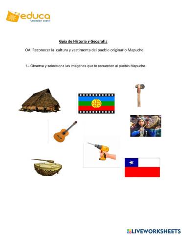 Pueblo Mapuche