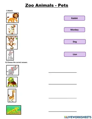 Zoo Animals and Pets