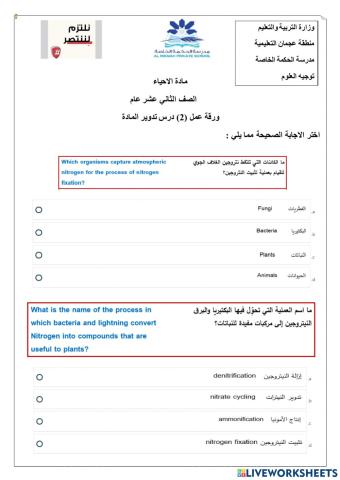 ورقة عمل تفاعلية