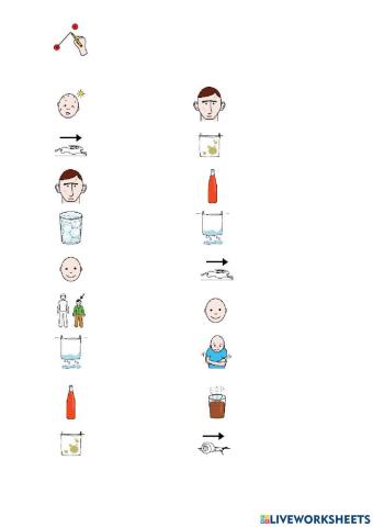 Ficha Sinónimos Pictos