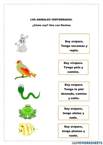 El reino de los animales vertebrados