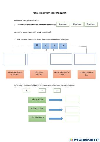 Estructura y codificación Curriculo