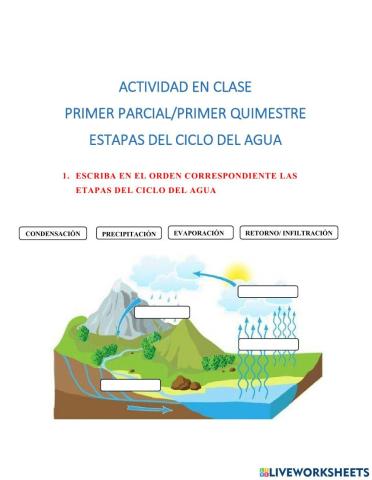 Etapas del ciclo del agua